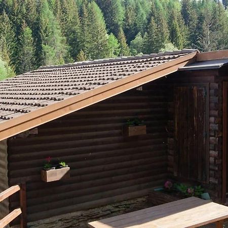 Agriturismo Piangembro Corteno Golgi Экстерьер фото