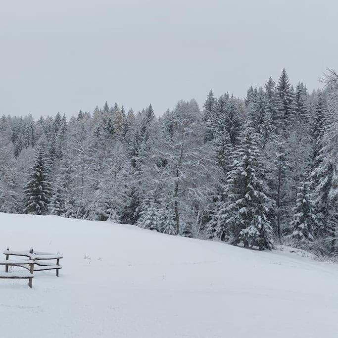 Agriturismo Piangembro Corteno Golgi Экстерьер фото