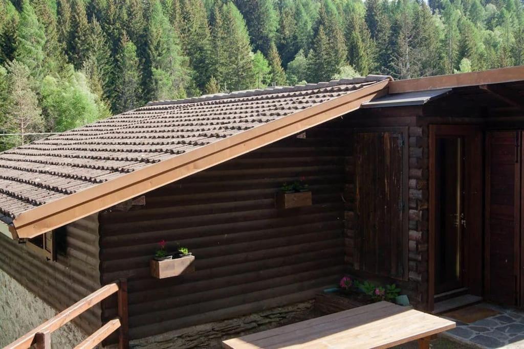 Agriturismo Piangembro Corteno Golgi Экстерьер фото